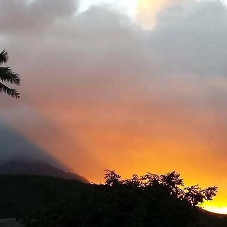 Paradise Palms B & B Kailua Esterno foto