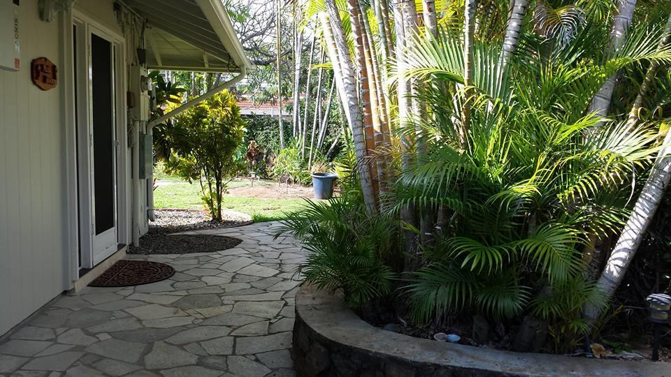 Paradise Palms B & B Kailua Esterno foto