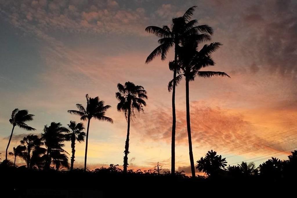Paradise Palms B & B Kailua Esterno foto